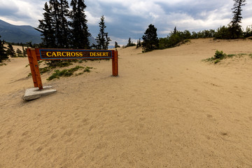 The smallest Desert of the world at Carcross in Canada