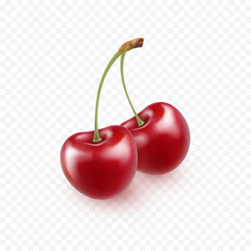 Cherry isolated on transparent background. Sweet 3d red berry icon. Vector realistic food element..