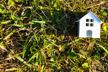 House on green grass.
