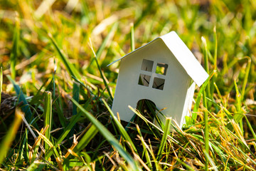 House on green grass.