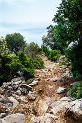 Hiking Path in Cilento National Park, Campania, Italy