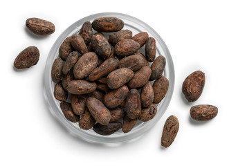 Cocoa beans on a white background. The view from the top