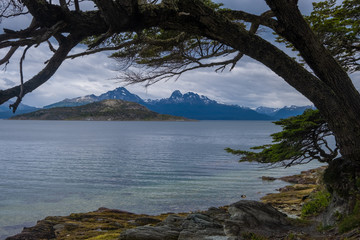 Fototapeta na wymiar Coastal landscapes, Tierra del Fuego National Park, Ushuaia, Argentina
