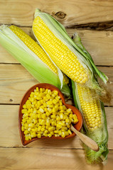 The corn cobs and grains corn on the table close-up