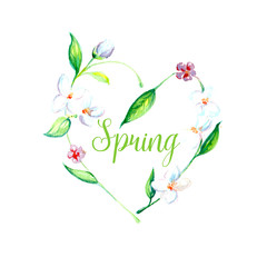 Beautiful watercolor spring flower art background illustration