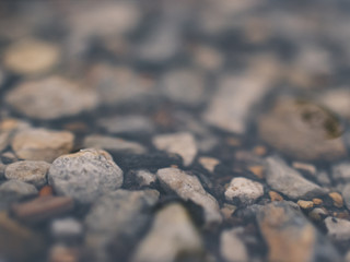 stones on the beach