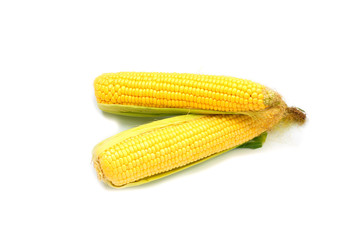 Two Ripe open corns on the cob, corncob,