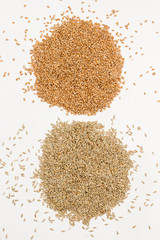 Whole grains of wheat and rye on black background. Healthy carbohydrates. Dietary fiber