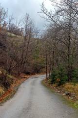 A narrow, rural road in the mountains