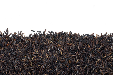 Black rice isolate on white background.Rice berry on white background