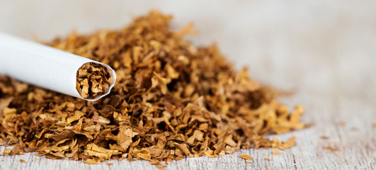 Closeup web banner of rolled cigarette on tobacco, smoking concept