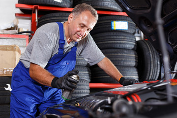 Mechanic repairing car