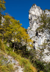 Sunny colorful autumn alpine scene. Peaceful rocky mountain view from hiking path near Almsee lake, Upper Austria.