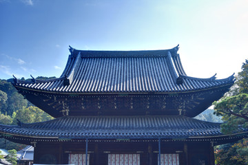 Fototapeta premium 泉涌寺 仏殿