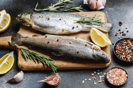 Fresh river trout with spices and ingredient for cooking on dark stone background