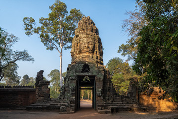 Fototapeta na wymiar Die Tempelanlage Ta Prohm in Kambodscha