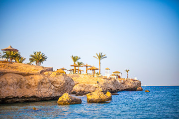 Egypt. Sharm El Sheikh. View from the water to the shore with palm trees