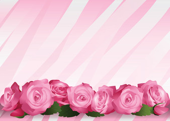 Pink background with roses.