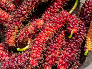 Organic Mulberry fruit. fresh red mulberry background.