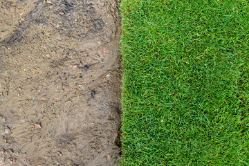 Straigh line of new freshly installed green rolled lawn grass . dirt watered soil prepared for...