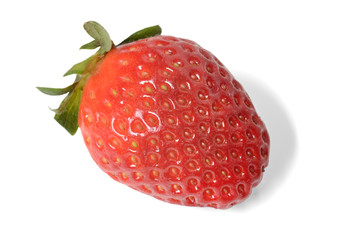 One berry strawberry on a white background close up with shadow