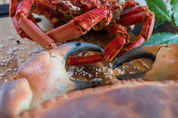 Detail of boiled crabs claws on the kitchen board