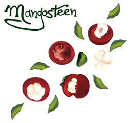 Mangosteen in motion on transparent background. 3D realistic mangosteen. Top view. Food concept. Vector illustration.