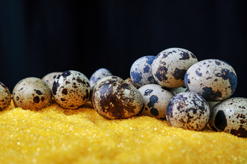 Obraz premium many fresh eggs for cooking