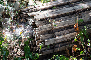 An old roll of wooden snowfencing decaying in overgrowth with web
