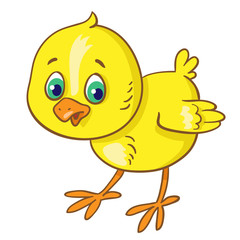Cute little chicken in cartoon style. Isolated on white background. Vector illustration.