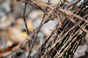 close up of old rusted barbed wire coil with soft background