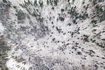 Aerial drone view of a winter landscape. Snow covered forest.