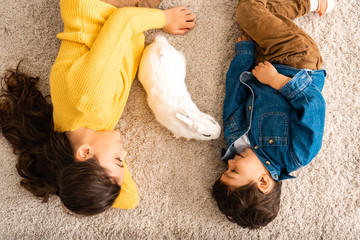 top view of cute brother and sister lying on floor near white funny rabbit