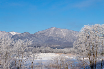 美しい富良野の樹氷　北海道