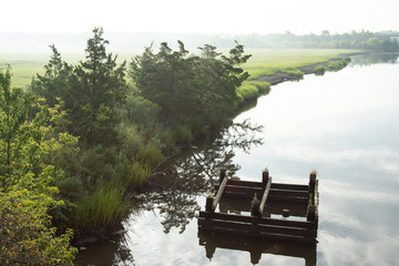 Obraz premium Beautiful view of foggy marsh canal with trees