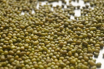 Mung bean