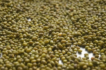 Mung bean