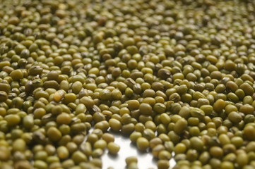 Mung bean