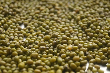 Mung bean