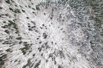 Aerial drone view of a winter landscape. Snow covered forest.