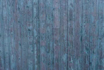 green gray wooden texture from old wide shabby boards on the fence