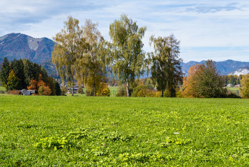 Peaceful autumn Alps mountain lake shore view. Wolfgangsee lake, Salzkammergut, Upper Austria.