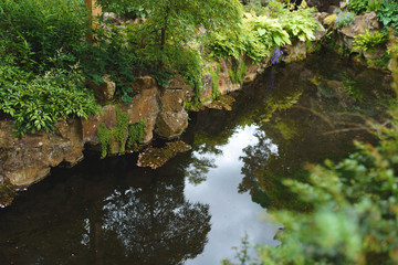 Fototapete bei efototapeten.de bestellen   