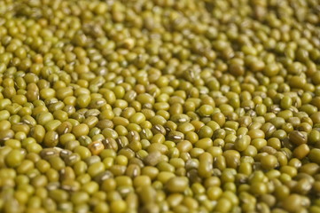 Mung bean