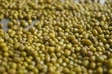 Mung bean