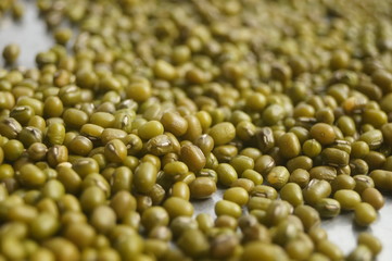 Mung bean