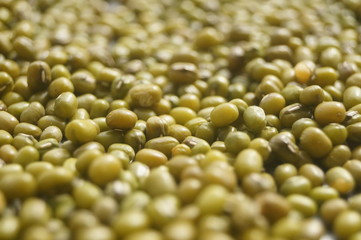 Mung bean