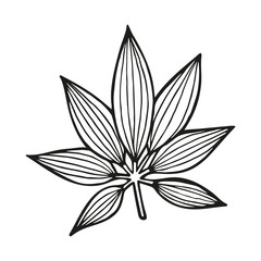 Single hand drawn exotic tropical leaf. In doodle style, black outline isolated on a white background. Cute element for cards, posters, social media banners, stickers. Vector illustration