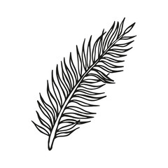 Single hand drawn palm branch, exotic tropical leaf. In doodle style, black outline isolated on a white background. Cute element for card, poster, social media banner, sticker. Vector illustration