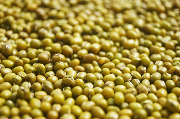 Mung bean